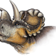 Image for article titled Introducing Wendiceratops, a Spectacular New Horned Dinosaur